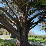 Casa de Férias Maison De Rêve