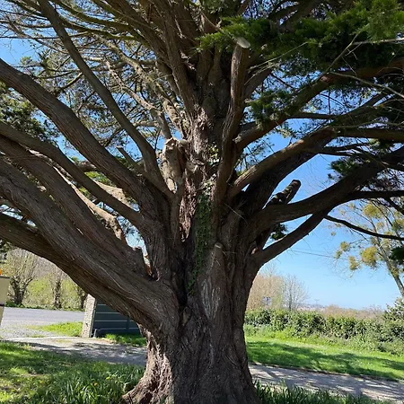 Casa vacanze Maison De Reve