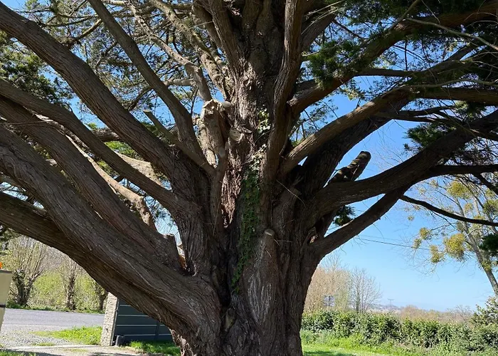 Casa de Férias Maison De Reve